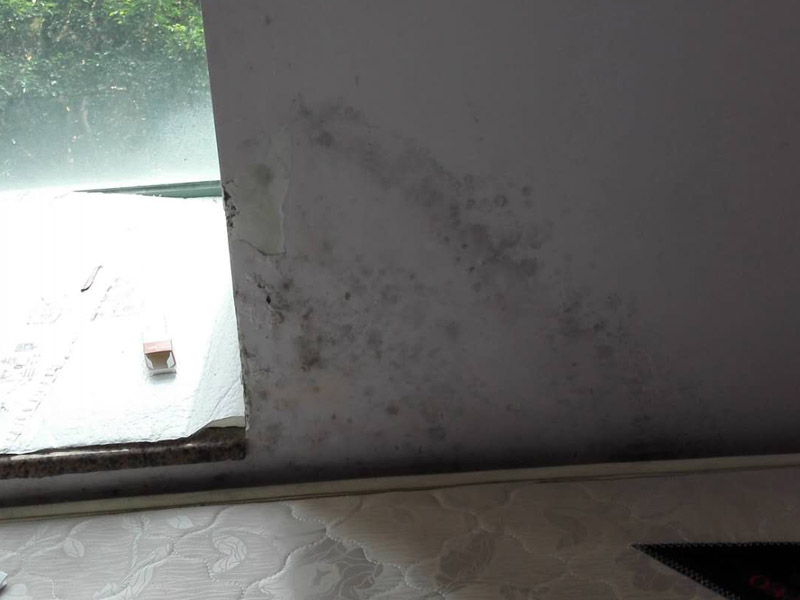 墻面起霉維修：墻壁起霉的處理：打磨、修補、刷防水涂料。
1、用砂紙打磨干凈，如果有脫層，用鏟刀處理平整；
2、如果墻面不平整，需要用膩子修補平整；如果墻面比較平整，建議先涂刷封閉底漆，然后再刷乳膠漆。
3、為了防止后期墻面再次發(fā)霉，建議再刷一層防水涂料、乳膠漆等。