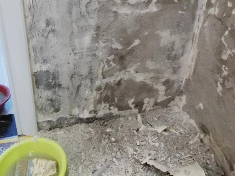 局部墻面修補(bǔ)維修：白墻或者裸墻局部鼓起或者輕微龜裂剝落的話，可以把出現(xiàn)問題的地方鏟除，并將鏟除后的邊緣磨平滑后，重新刮一次膩?zhàn)?，上底漆，再刷再涂，這樣就可以及時(shí)修補(bǔ)，不過可能會(huì)跟原來的墻面有一點(diǎn)色差。 對(duì)于局部剝落比較嚴(yán)重的情況，就有必要考慮是否是墻面基底根本沒做好的原因。將原墻體鏟除至墻面基層，用界面劑或者封固底漆重新涂刷一遍，再按照粉刷石膏找平、貼網(wǎng)格布(加固防裂)、批刮墻襯三遍后打磨平整，整個(gè)基層質(zhì)量此時(shí)就會(huì)好很多。