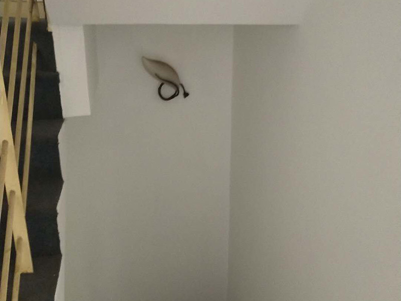 墻面翻新裝修：1、清理墻面： 舊墻面在翻新前一定要做墻面基底處理，粉化嚴(yán)重的要全部鏟除，鏟除后抹上一層白水泥，原來墻面過于光滑、刷過油漆的鏟除后還要做打磨處理，把粘結(jié)不牢的表皮去掉，便于新涂料和墻體粘結(jié)。 2、涂刷底漆： 墻面底漆的作用是抗堿防潮、封固基材、保護(hù)面漆，提高面漆的質(zhì)感和遮蓋力，對于老房翻新，墻面一定要做底漆，如果沒有刷底漆就直接上面漆的話，時(shí)間一長墻面容易起泡、發(fā)霉，太陽照曬時(shí)間長了也容易變色。 3、大面積修補(bǔ)： 已經(jīng)上好面漆的墻面要修補(bǔ)會(huì)比較麻煩，容易產(chǎn)生色差，材料的使用時(shí)間不同，質(zhì)量也難以保證，很難達(dá)到理想效果。 所以墻面的修補(bǔ)最好是整塊墻面，或是盡可能地選擇較大面積進(jìn)行修補(bǔ)，這樣可以盡量避免產(chǎn)生色差，修補(bǔ)后的質(zhì)量也更好。