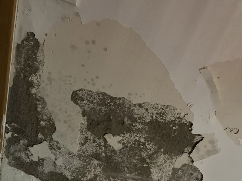 客廳吊頂裝修：客廳吊頂安裝前需要先畫好吊頂的各個尺寸，然后在房頂上固定好位置，再用沖擊鉆打孔，最后再把大龍骨用膨脹螺絲固定好。接下來將地上訂好的骨架托上天花板上，用方條當固定柱，并且橫豎都要打水平線來固定骨架，按照圖紙的的尺寸將多余的骨架鋸掉。下一步就是需要固定石膏板了，建議用十字架撐著吊頂上的石膏板，用螺絲加以固定，多余的石膏板需要切除。這樣之吊頂就差不多做好了。