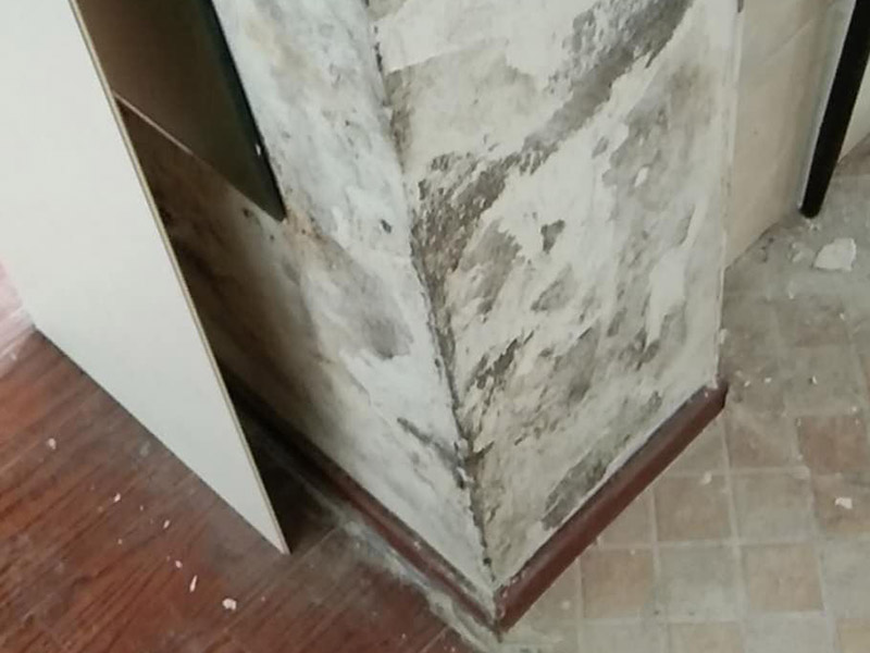 頂面墻面掛網(wǎng)裝修：新房毛坯房抹灰面未經(jīng)過任何處理的情況下,如果表面平整度、磨砂面均勻,無空鼓、裂痕,完全可以不必掛網(wǎng)。但是,對(duì)于水泥砂漿或是混合砂漿(大多數(shù)是)達(dá)不到上述要求和質(zhì)量,且表面的不均勻的細(xì)小紋理裂痕,采用掛網(wǎng)工藝,可以有效的避免后期的面層龜裂的產(chǎn)生,更好的保證墻面的質(zhì)量。特別是抹灰墻面長(zhǎng)久使用過程中,也會(huì)有一些生活過程中產(chǎn)生的震動(dòng)和共振,掛網(wǎng)對(duì)墻面整體面層會(huì)起到一定的保障作用的。