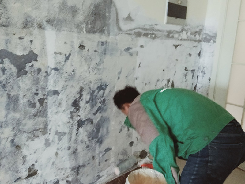 墻面刷墻固漆：首先就是要對(duì)墻面進(jìn)行固封，固封是很重要的一個(gè)環(huán)節(jié)，主要包括兩個(gè)方面：一是對(duì)墻面開裂處或者有孔洞的地方進(jìn)行填補(bǔ)，填補(bǔ)物主要是石膏，二是對(duì)墻面基層進(jìn)行鞏固，這需要使用固化劑。在完成固封、防水之后首先就要進(jìn)行厚找平層處理，一般都是先批刮膩?zhàn)右槐?，一定要注意厚度要適中，既不能太厚也不能太薄，要按照它的標(biāo)準(zhǔn)來，一般要求是不超過5毫米。接著再進(jìn)行精找平層處理，這時(shí)候一遍就不夠了，一般膩?zhàn)右?-3遍，太厚也無益。批刮完之后還需要用砂紙進(jìn)行打磨。盡可能地使墻面看上去更平整光滑。