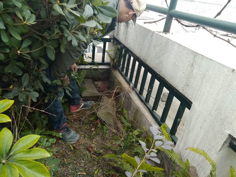 屋頂露臺看現(xiàn)場：如果防水師傅沒有檢驗基層，直接就刷防水涂料的話，那么基層比較差，后期肯定會發(fā)生滲漏問題的。當然，有的朋友會說，即便發(fā)生這種情況，后果也是該師傅來承擔的。但事實上，真的沒有人會希望發(fā)生問題，畢竟在出現(xiàn)問題之后，會給自己生活帶來很大的麻煩。