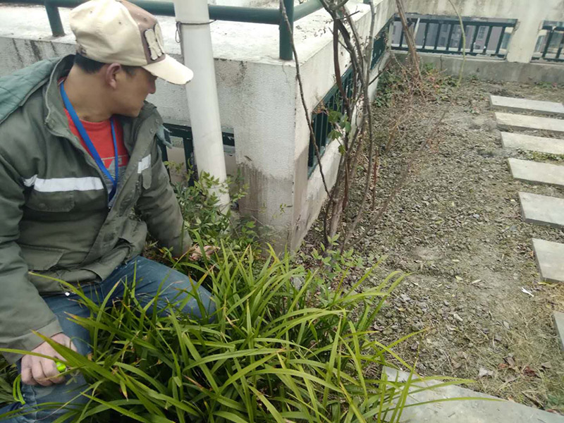 屋頂露臺看現(xiàn)場：如果防水師傅沒有檢驗基層，直接就刷防水涂料的話，那么基層比較差，后期肯定會發(fā)生滲漏問題的。當然，有的朋友會說，即便發(fā)生這種情況，后果也是該師傅來承擔的。但事實上，真的沒有人會希望發(fā)生問題，畢竟在出現(xiàn)問題之后，會給自己生活帶來很大的麻煩。