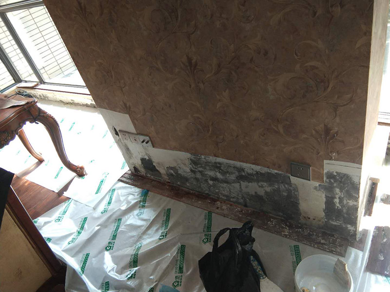 墻面發(fā)霉維修：衛(wèi)生間防水破壞，導(dǎo)致臥室墻面大面積發(fā)霉；在進(jìn)行維修時(shí)應(yīng)當(dāng)對(duì)發(fā)霉墻面以及乳膠漆基層進(jìn)行徹底的鏟除；對(duì)損壞位置的防水層進(jìn)行維修，必要時(shí)要對(duì)衛(wèi)生間進(jìn)行徹底的拆除維修；防水維修后測(cè)試防水性；開始重做乳膠漆基層，這里建議涂刷界面劑；涂刷新的乳膠漆完成本次維修。 環(huán)境潮濕，當(dāng)夏季梅雨季節(jié)到來(lái)時(shí)，應(yīng)做好通風(fēng)除濕工作；墻面受潮短時(shí)間內(nèi)如快速的處理讓其干透，是不會(huì)傷及根本引起發(fā)霉的，而且現(xiàn)在大多的乳膠漆有一定的防水性。除濕我們可以采用除濕機(jī)、除濕劑等方法。