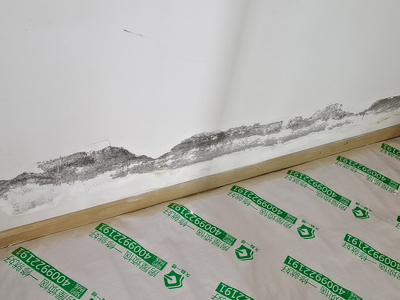 墻面翻新成品保護：家具搬放到房屋中央，對集中放置的家具進行整體保護，防止因墻面翻新而造成不必要的損壞；地板需要用專業(yè)的保護膜進行保護；對于不能移動的家具和家電，如空調(diào)等進行成品保護；尤其需要注意有插座、開關(guān)面板的位置，防止灰塵進入。 處理墻面出現(xiàn)的開裂、起翹等問題，若不做任何處理直接開始涂刷，使用專業(yè)的打磨機對墻面進行打磨處理，與一般打磨機不同的是，墻面打磨是無塵打磨，在打磨的過程中不會出現(xiàn)灰塵漫天的情況。