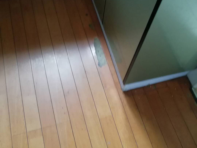 地板局部維修翻新：起下需替換的地板。用一字螺絲刀即將替換的地板短邊處鑿出一個1厘米長的縫隙,再用曲線鋸將需替換的地板表面鋸成十字形的鋸縫;然后將分紅四小片的地板取出。 整理膠水。用鋼鋸條整理原接口殘留的膠水,并確保整理好的榫槽便于裝置,假如整理不完全,接縫會不平或不嚴(yán)。能夠用有新榫頭小片地板在接口上來回滑動,找出殘留膠跡并鏟除,使修正后的地板漂亮。