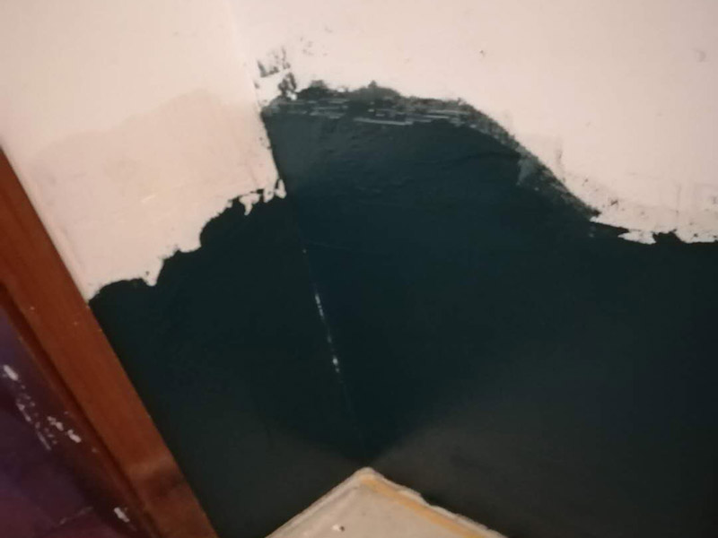 墻面維修刷漆:需要進行墻面的全面檢查，看看基層是否牢固平整。如果是舊墻出現(xiàn)漆膜脫落、開裂，需要先進行鏟墻皮或者使用石膏來進行裂縫的修補處理。做到墻面無灰塵、雜物，平整，再使用界面劑進行墻面的涂刷，施工應細致均勻。接著就需要進行刮膩子，將墻面進行找平，這道工序一般涂刷兩遍膩子，不過需要看實際情況來定。在進行第一遍膩子涂刮后，需要自然晾干，再來打磨，最后才是進行第二道膩子涂刮。在施工中，需要注意刮刀力度應一致，才能讓膩子厚度均勻。然后是進行底漆的涂刷，這樣做的目的是為了增加面漆的粘結(jié)度。完全干燥后，則可以進行面漆的涂刷施工了。在涂刷前，需要將面漆調(diào)配好，讓顏色一致，這樣涂刷的時候，墻面色澤才能一致。但需要注意的是滾筒施工時，速度應保持一致，這樣漆面才能細膩平滑。