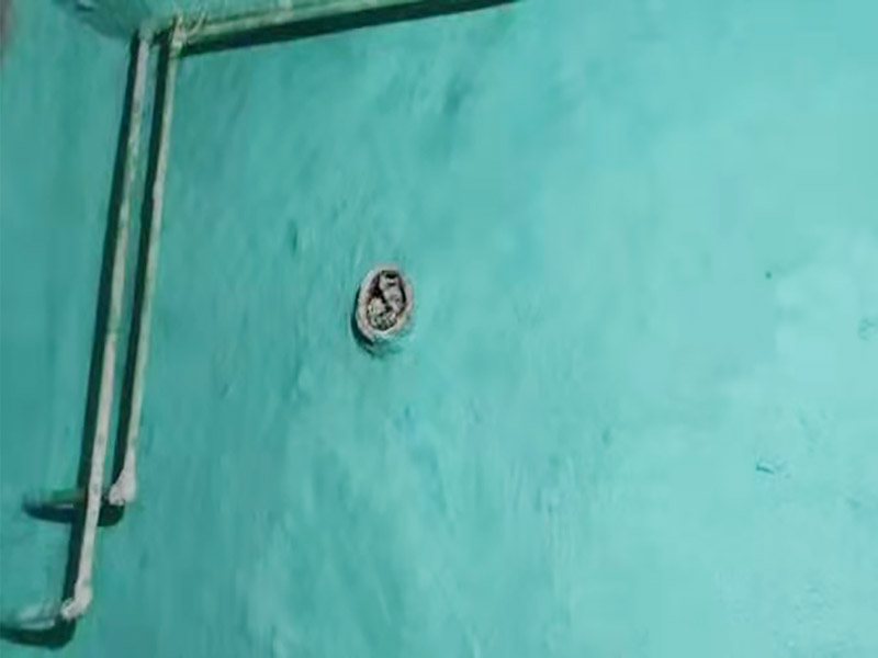 廁所地面刷防水：作防水前，一定要把需要作防水的墻面和地面打掃干凈，否則，再好的防水劑也起不到防水的作用。一般的墻面防水劑要刷到30厘米的高度。地面要全部刷到，而且必須等第一遍干了后，才能刷第二遍。防水重點(diǎn)位置：墻角位置，要多刷1－2遍。下水管周圍，要多刷1－2遍。防水做完了，不要以為就沒有事了，還要&ldquo;開閘放水&rdquo;，試水。試水一試就是24個小時，看周圍墻面有沒有滲水現(xiàn)象