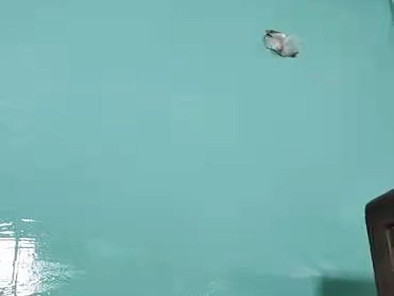 衛(wèi)生間防水貼磚裝修:首先就要搞清楚，防水不是只做一遍就可以的。一般的防水施工要做2到3遍，而且防水的順序也是有講究的，比如，要先做完墻面防水再貼墻磚，其次才可以做地面防水，再貼地磚。因為地面經常會踩來踩去，地面防水如果先做了會很容易踩壞。