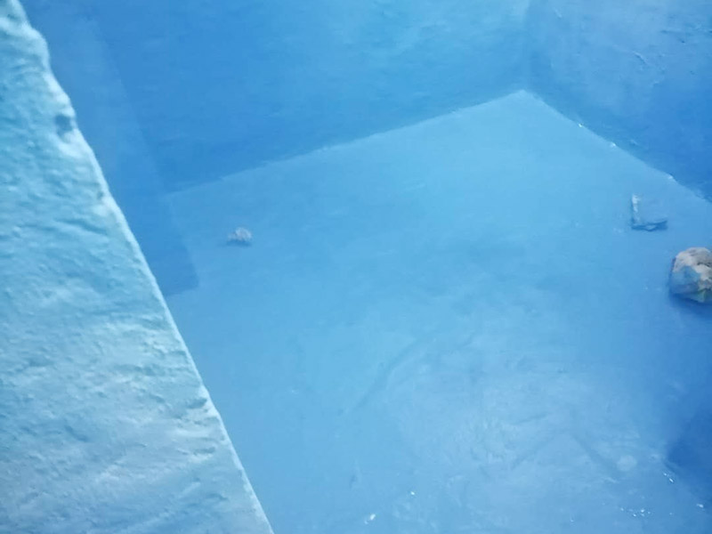 衛(wèi)生間防水維修: 鏟除原有的墻磚和地磚，這個步驟主要是針對老房二次裝修的，如果是新房可以跳過這個步驟，一般使用灰刀就可以，刮板也可以將原有的地磚鏟除掉。墻面將水電改造開槽用水泥封堵基層清理，細部附加層施工，在管根、地漏、陰陽角、等容易漏水的薄弱部位均勻涂刷，涂刷防水涂料兩遍，縱向橫向各涂刷一遍，做保護層，待防水干燥后放水做48小時閉水試驗。