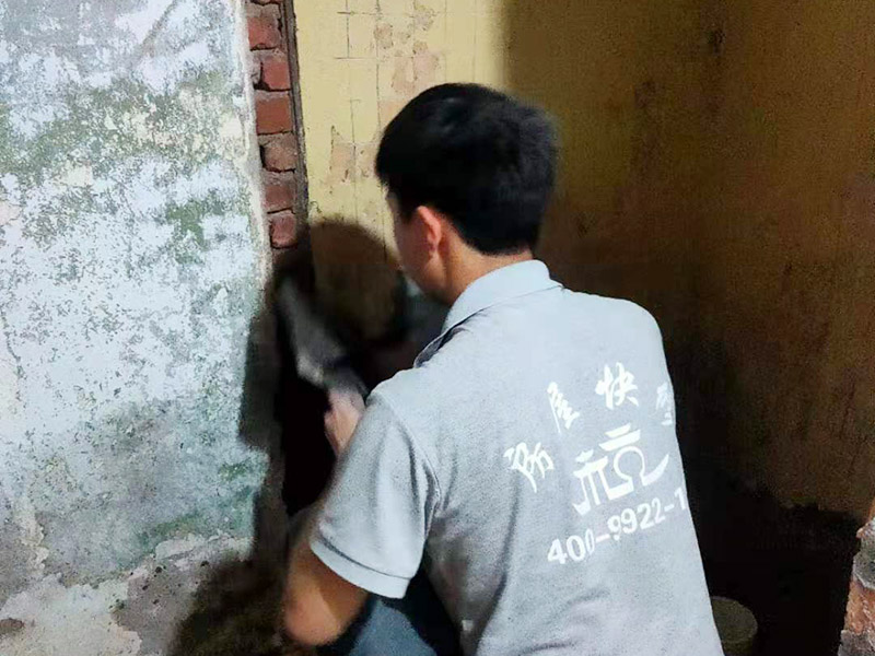 墻面抹水泥找平:步驟一：清理墻面；把墻面起皮和裂縫位置處理干凈，并用水泥砂漿補抹好，把殘留的灰渣鏟除干凈，然后把墻面清理干凈。需要注意的是：如果墻面吸水性比較強，要先用清水濕潤或是噴刷膠水做封底處理。  步驟二：第一遍刮膩子；水泥抹面的墻面最好配制底料，不僅能降低工程造價，還可以提高施工的質(zhì)量。 步驟三：第二遍刮膩子；第一遍墻體干透后，可以上第二遍膩子進一步刮平。但是第二遍的膩子調(diào)兌不易過稀，它的含水量別過大，要保證第二遍膩子刮涂后的水分盡快被第一遍的膩子吸收，只有等到墻面水分減少到一定程度后方才可進