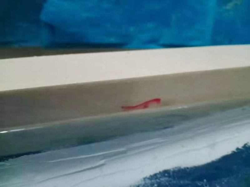 浴室防水裝修：首先要將墻面地面都要清潔干凈，這點(diǎn)非常重要，不能有散沙、土、石塊等干擾基層。如果基層開發(fā)商做的很不好的話，表面還要刷一層界面劑以防止墻面表面起沙。用噴壺將陰角部分和管根部分噴水，噴水的主要目的就是防止墻面吸收了堵漏寶太多的水分，造成堵漏寶沒有和墻面凝結(jié)在一起。那么噴多少水呢，建議以表面沒有明顯積水為宜。刷完以后，將第一遍堵漏上鋪好網(wǎng)格布，主要是防止堵漏初凝以后裂開。然后進(jìn)行第二遍涂刷堵漏，刷完就要進(jìn)行下面柔韌性防水涂刷的步驟了。