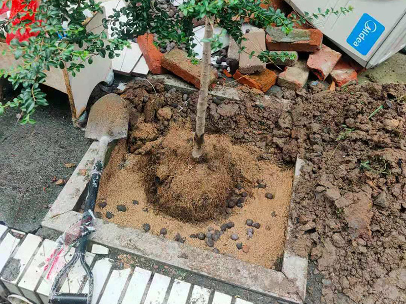 庭院植物底部防水：找到本來(lái)的防水層，由于防水層不是顯露的，是在面層下部，有必要將面層進(jìn)行悉數(shù)根除，找到本來(lái)的防水層。將原防水層根除以后，找平，將本來(lái)下部保溫層里存的水進(jìn)行排干，設(shè)一些排氣孔做排氣辦法，將保溫層里的水分排干。做完防水層以后，必定要做找坡處理，不要形成屋面部分存水，通常設(shè)置水泥砂漿找平找坡，找坡的斜度不小于3%。再進(jìn)行閉水實(shí)驗(yàn)，不漏水為合格，再進(jìn)行康復(fù)上面的維護(hù)及鋪貼面磚裝修。