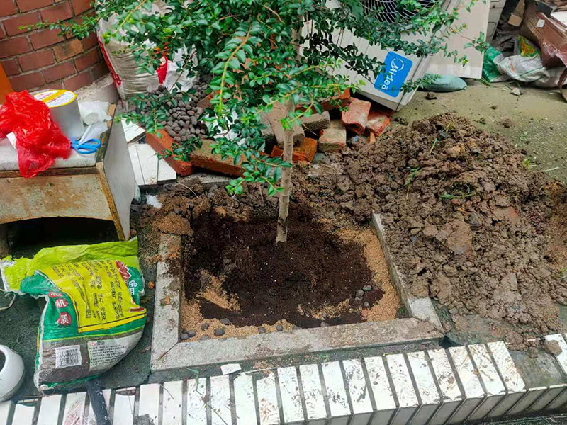 庭院植物底部防水：找到本來(lái)的防水層，由于防水層不是顯露的，是在面層下部，有必要將面層進(jìn)行悉數(shù)根除，找到本來(lái)的防水層。將原防水層根除以后，找平，將本來(lái)下部保溫層里存的水進(jìn)行排干，設(shè)一些排氣孔做排氣辦法，將保溫層里的水分排干。做完防水層以后，必定要做找坡處理，不要形成屋面部分存水，通常設(shè)置水泥砂漿找平找坡，找坡的斜度不小于3%。再進(jìn)行閉水實(shí)驗(yàn)，不漏水為合格，再進(jìn)行康復(fù)上面的維護(hù)及鋪貼面磚裝修。