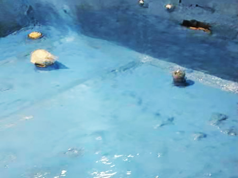 衛(wèi)生間貼磚裝修:衛(wèi)生間貼磚的流程首先先清掃地面，水泥砂漿找平，接著再定標(biāo)高，彈線，地磚進(jìn)水，攤鋪水泥砂漿，鋪貼石磚，最后灌縫，白水泥或者填縫劑都可以，或者做專業(yè)的美縫。