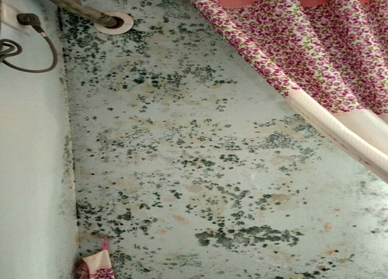 墻上霉斑怎么處理,墻上霉斑補(bǔ)救方法,墻上霉斑維修技巧