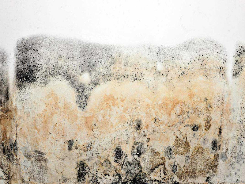 墻面發(fā)霉怎么處理妙招整理，搞清楚發(fā)霉原因?qū)ΠY下藥才能藥到病除