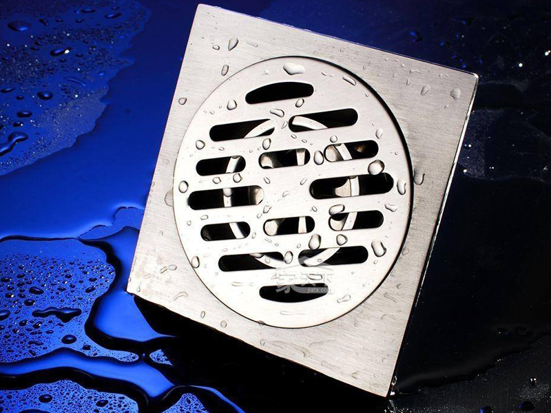 地漏總是反味有異味偶爾還有小飛蟲，保證地漏清潔是解決問題的根本