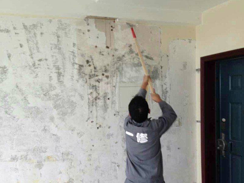 頭疼墻面開裂怎么處理？涂刷抗裂膩子效