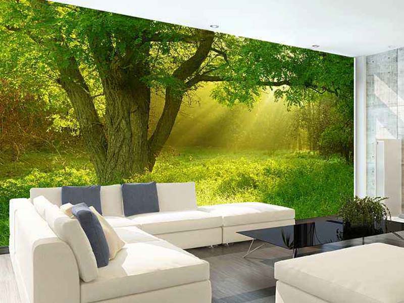 武漢墻壁返潮是什么原因，武漢墻壁返潮