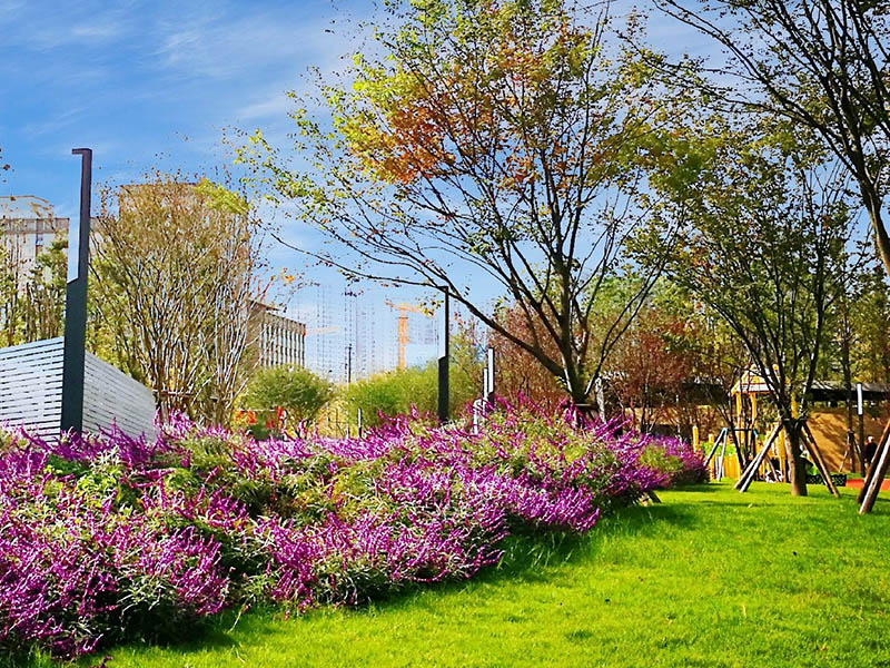 景區(qū)綠化環(huán)境改造找誰做？