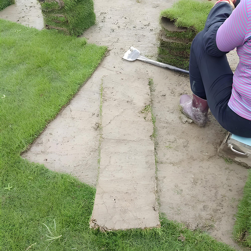 人工草坪包工包料多少錢(qián)一個(gè)平方